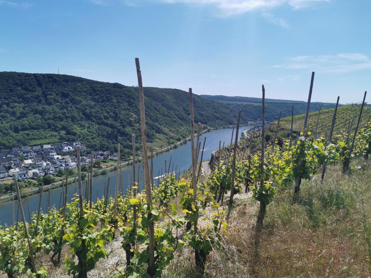 Auszeit Rhein-Mosel Lägenhet Waldesch Exteriör bild